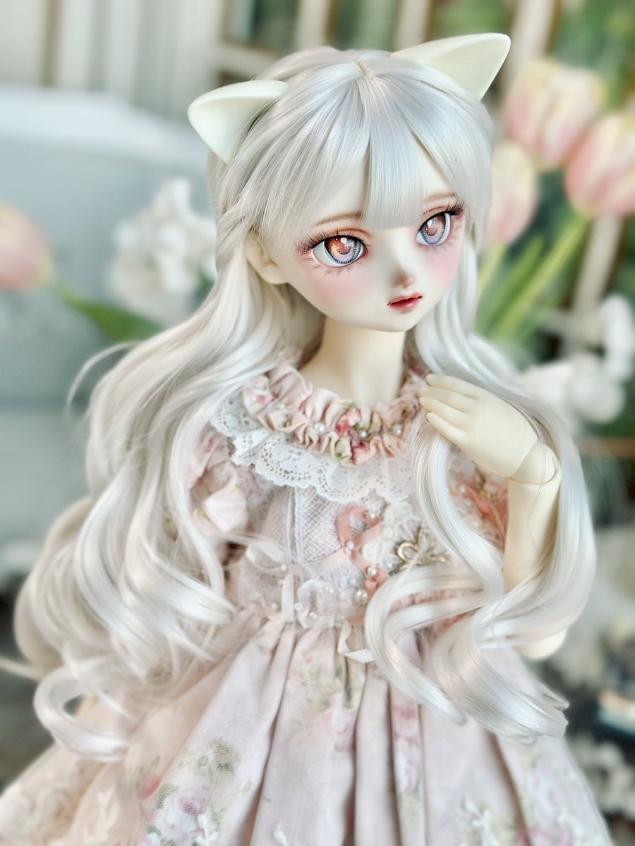 향 ʕ•ﻌ•ʔ🎗️🕯️ (@siaelf_doll) on Twitter photo 블루메 (<a href="/blume0v0/">Blume(블루메)</a>)의 RT이벤트에 당첨되어 로벨리아 (L사이즈, 윈터 스노우 색상) 을 씌워볼 기회를 얻었습니다! 보들보들하고 컬이 정말 예쁘고 스타일링하기도 편하고 좋았어요👍 정말 감사합니다🥹 여러분 모두 예쁜 로벨리아 하세요🥺🫶 블루메 (<a href="/blume0v0/">Blume(블루메)</a>)의 RT이벤트에 당첨되어 로벨리아 (L사이즈, 윈터 스노우 색상) 을 씌워볼 기회를 얻었습니다! 보들보들하고 컬이 정말 예쁘고 스타일링하기도 편하고 좋았어요👍 정말 감사합니다🥹 여러분 모두 예쁜 로벨리아 하세요🥺🫶