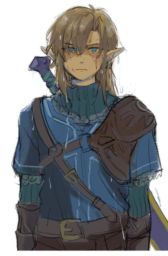 Link Hero of the Wild tweet media
