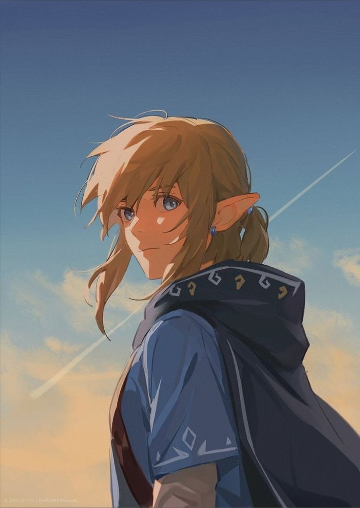 Link Hero of the Wild tweet media