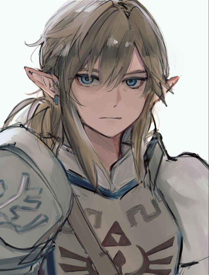 Link Hero of the Wild tweet media