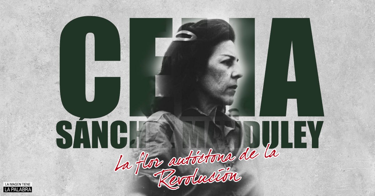 El 11 de enero de 1980 fallecía Celia Sánchez, la flor más  auténtica de la Revolución. Mujer ejemplar, amada por millones. Siempre alcanzable y dispuesta a ayudar hasta en las cosas más simples. #CeliaVive
#CubaViveEnSuHistoria 🇨🇺
#SanctiSpíritusEnMarcha