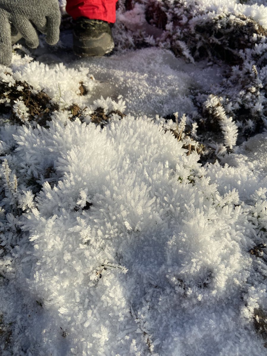 AHS DofE tweet media