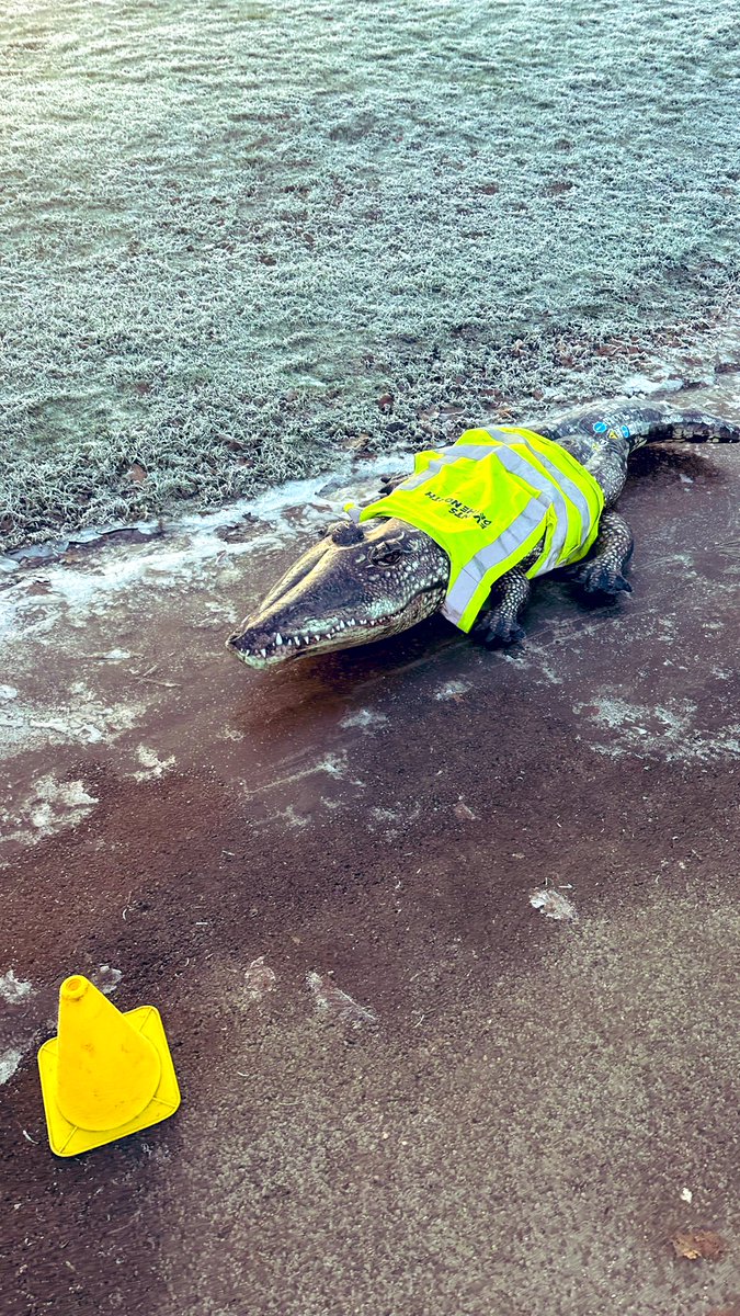 I LOVE a sunny, frosty morning at <a href="/parkrunUK/">parkrun UK</a>. Almost didn’t get out of bed 🥶 but so pleased I did to see this. What lovely volunteers stood in the cold for ME (us). Thank you 👏🏻🦺
