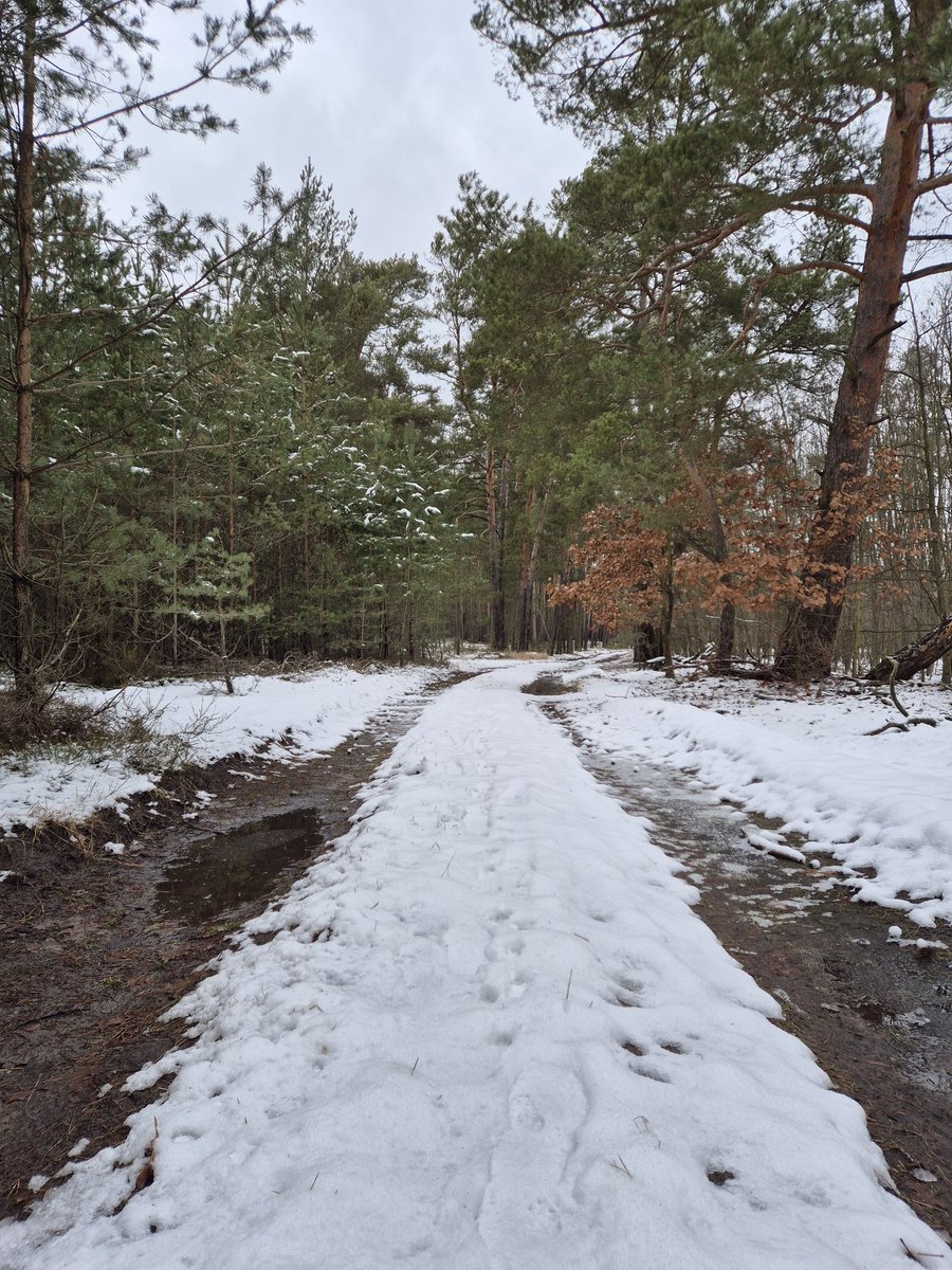 Djeekop de Dichter ★ tweet media