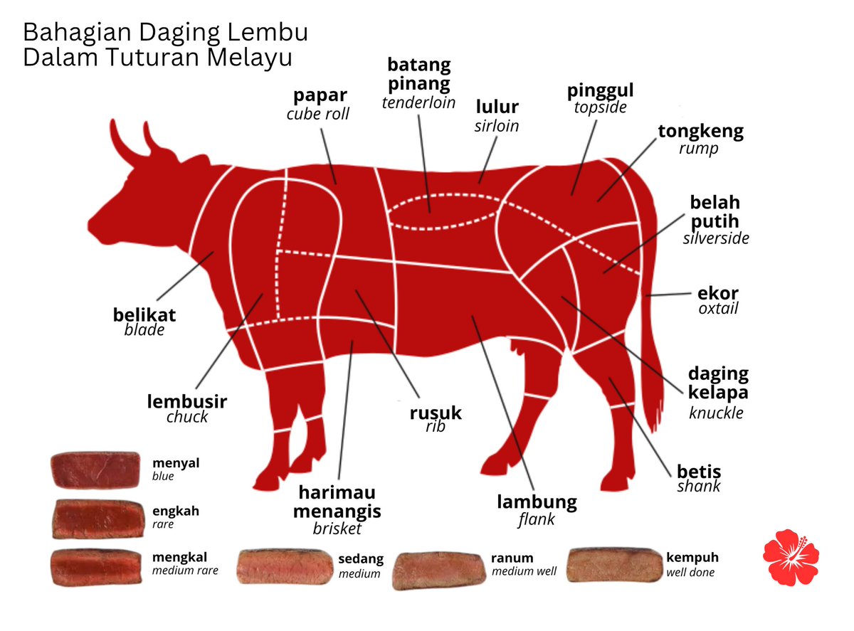 Saya mencuba membikin carta mengenai bahagian daging lembu dalam bahasa Melayu / cakap Melayu

Tuturan-tuturan di bawah diambil dari loghat dan mulut ranah Melayu. Jadi, mungkin beberapa kata tak boleh dijumpa dalam Kamus Dewan