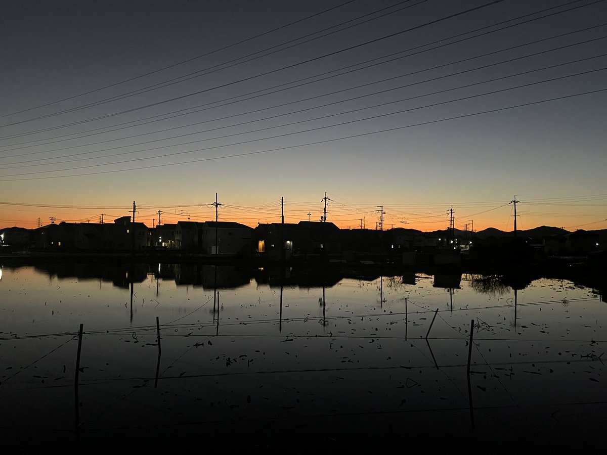 海岸亭 tweet media