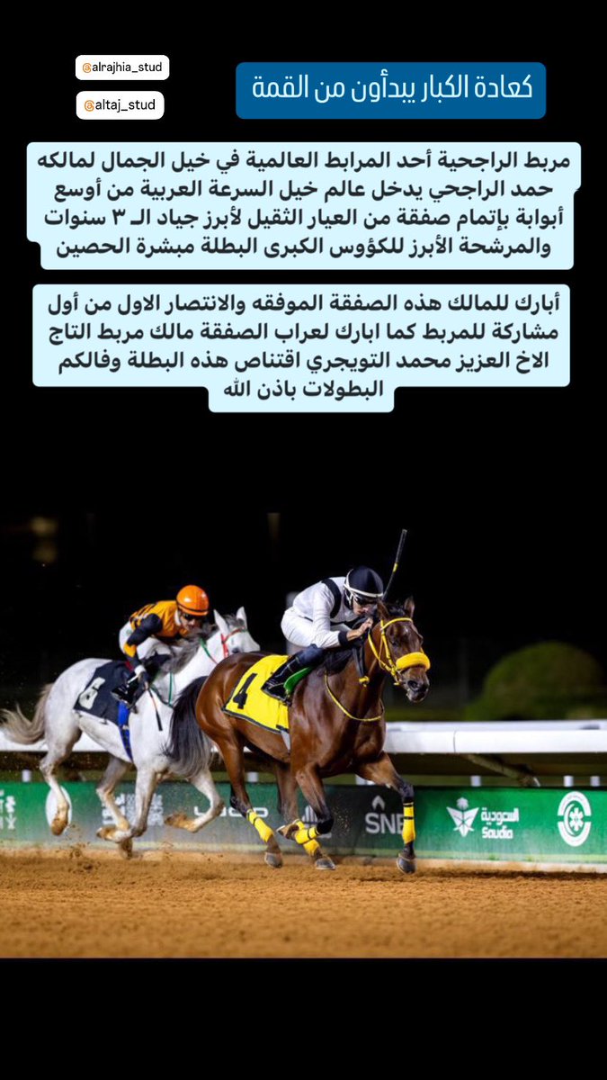 كعادة الكبار يبدأون من القمة 

مربط الراجحية  أحد المرابط العالمية في خيل الجمال لمالكه حمد الراجحي يدخل عالم خيل السرعة العربية من أوسع أبوابة بإتمام صفقة من العيار الثقيل لأبرز جياد الـ ٣ سنوات والمرشحة الأبرز للكؤوس الكبرى البطلة مبشرة الحصين <a href="/ALRAJHIA_STUD/">مربط الراجحية</a> 
@
