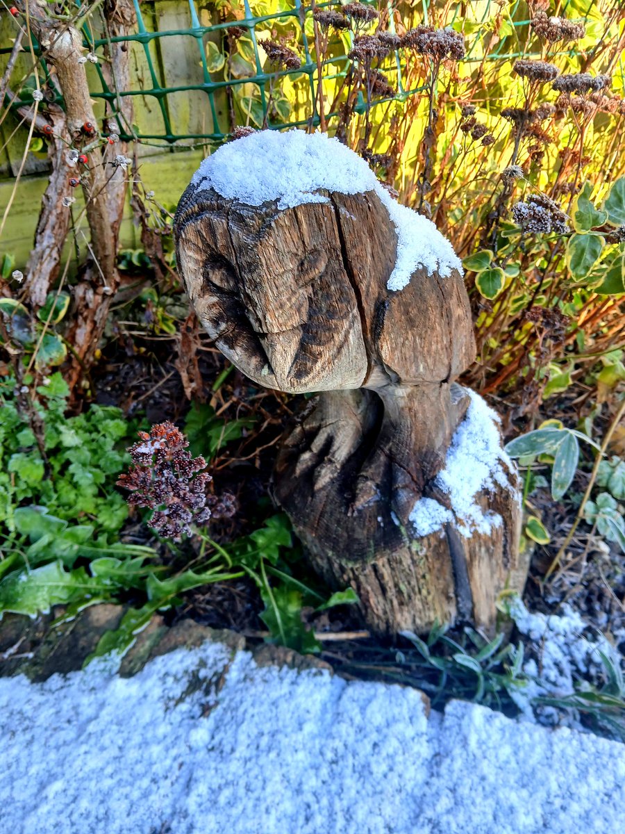 Frozen in time. The garden looks lovely in the snow and ice.