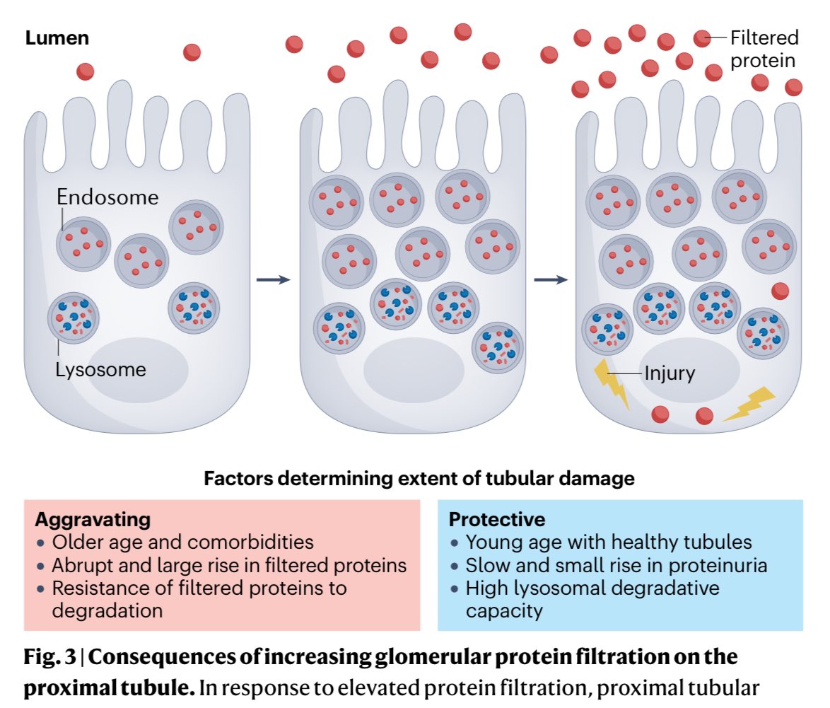 Jonathan Chávez tweet media