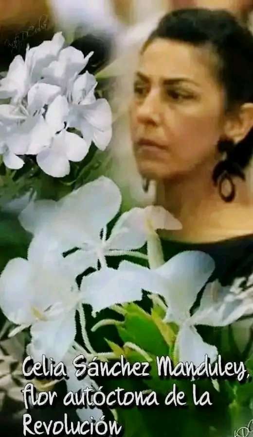 Celia nuestra y de las flores!!!
45 años de su partida física 🖤
#EjércitoDeCelias 
#CienfuegosXMásVictorias