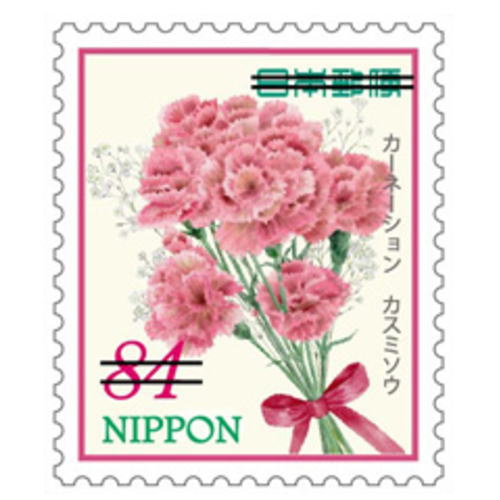 今日1月11日の誕生花は、「ピンクのカーネーション」で花言葉は「感謝