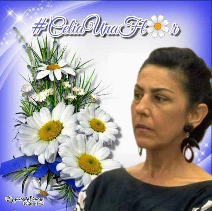 UJC Pinar del Río tweet media