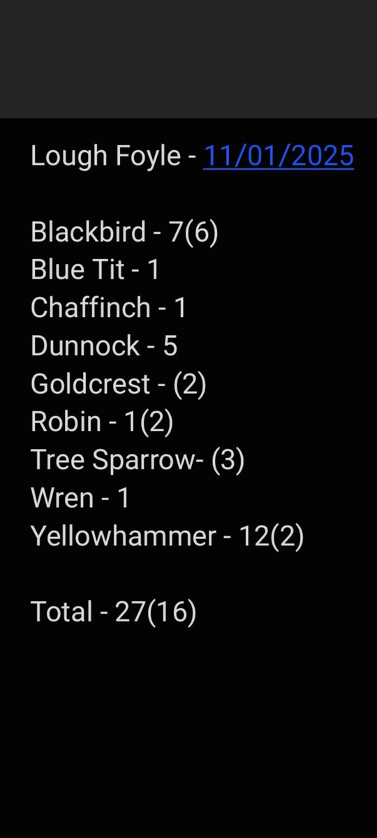 First outing of 2025 to target Yellowhammers at Lough Foyle produced a catch of 12 new birds and two recaptures from 2023. Healthy numbers of Blackbirds still around. 
I have been posting more regularly on BlueSky - RichardDonaghey89
