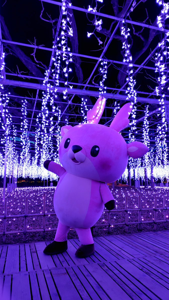 raccoon_pot's tweet photo. イルミネーションは綺麗だったし、シカちゃんは可愛かったし、最高に楽しかった！
ありがとうございました！
#あしかがフラワーパーク
#岩下の新生姜 https://t.co/EXO703wOh7
