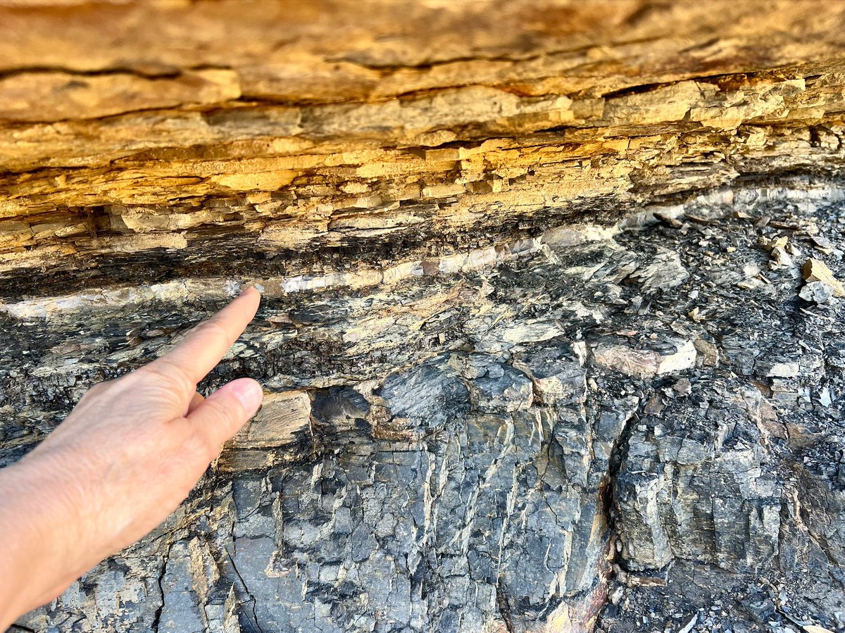 TM9380's tweet image. The moment everything changed