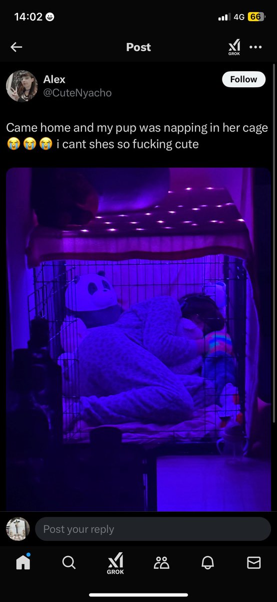 En dan vragen homo’s af waarom homophobia bestaat amai