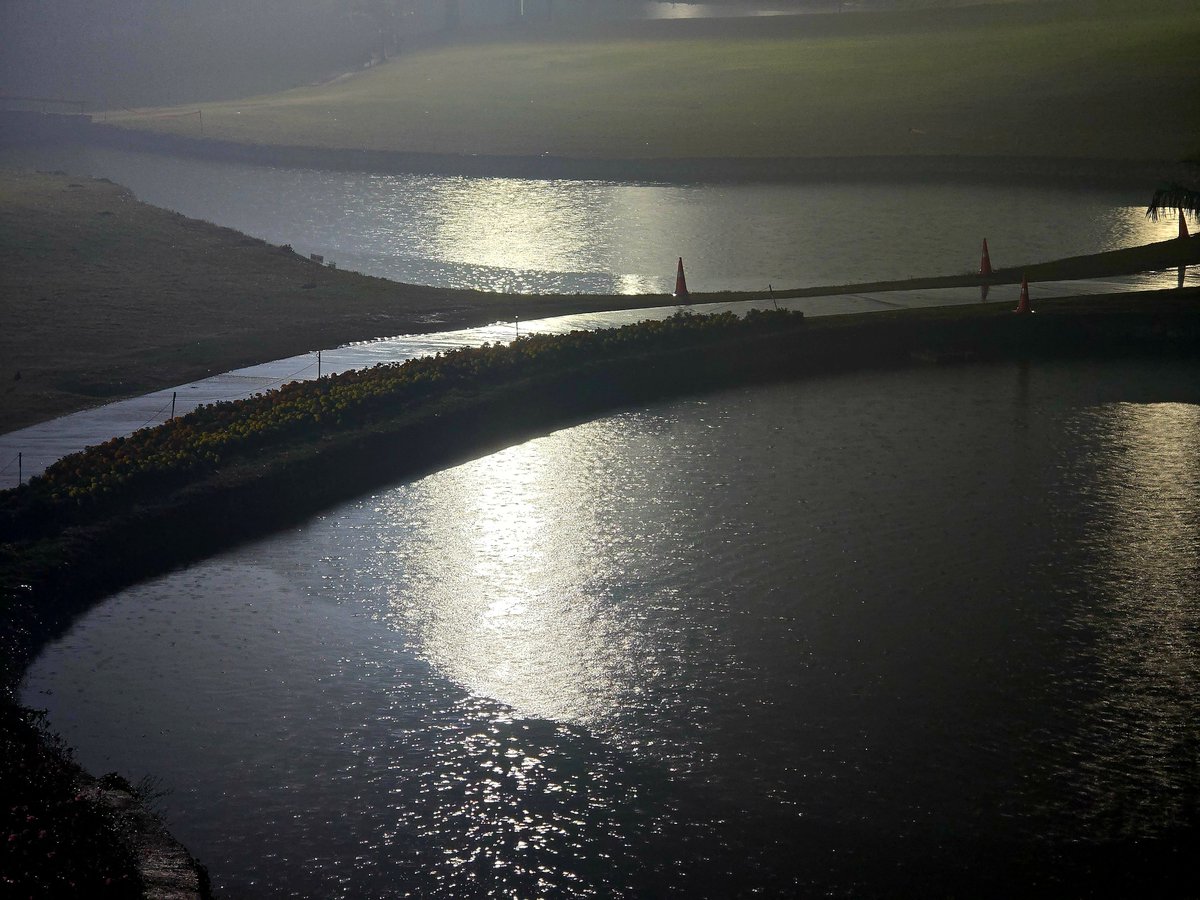 DrAmbrishMithal's tweet image. On this dull grey cold rainy day...

#viewfromthewindow