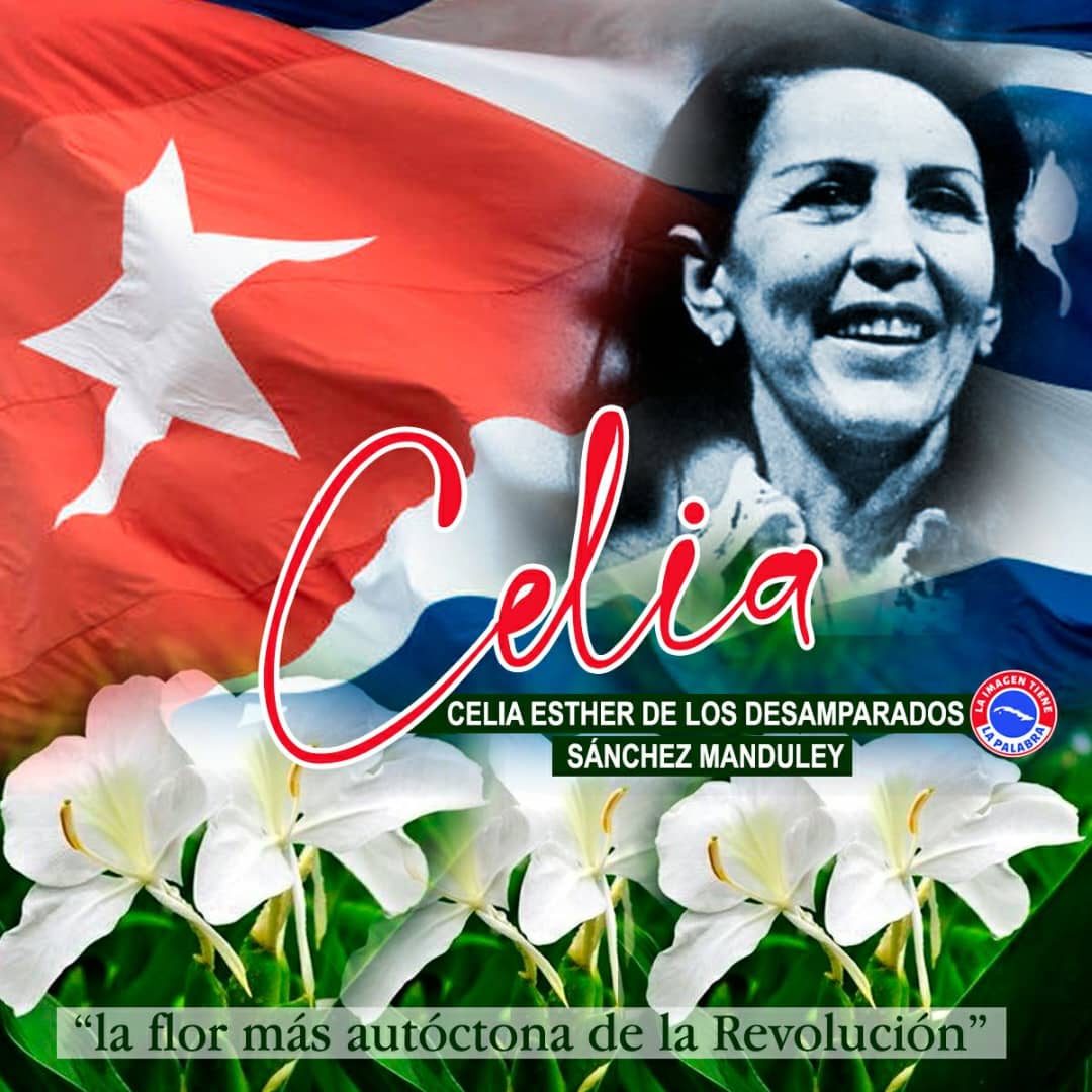 En campos de lucha y esperanza, donde el sol despierta al amanecer, Celia, flor valiente. Raíz profunda en tierra sagrada, con tu aroma a libertad y valor.

"Celia la flor más autóctona de Revelación" 
##SanctiSpíritusEnMarcha