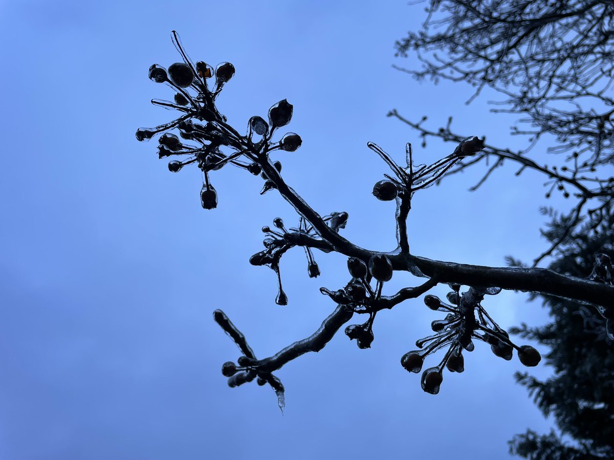 Wx_Jess's tweet photo. Icy/glazy #ncwx start… https://t.co/afgoPVY0xF