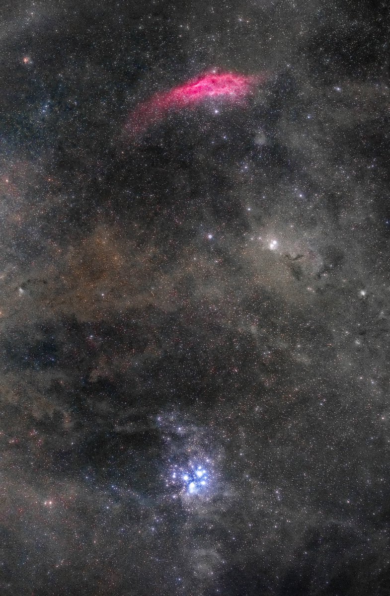 プレアデス星団とカリフォルニア星雲
starnetといいGraXpertといい無料でも優秀なソフトがいっぱいで金欠学生にはありがたい限りです。
 #天体写真 #astrophoto