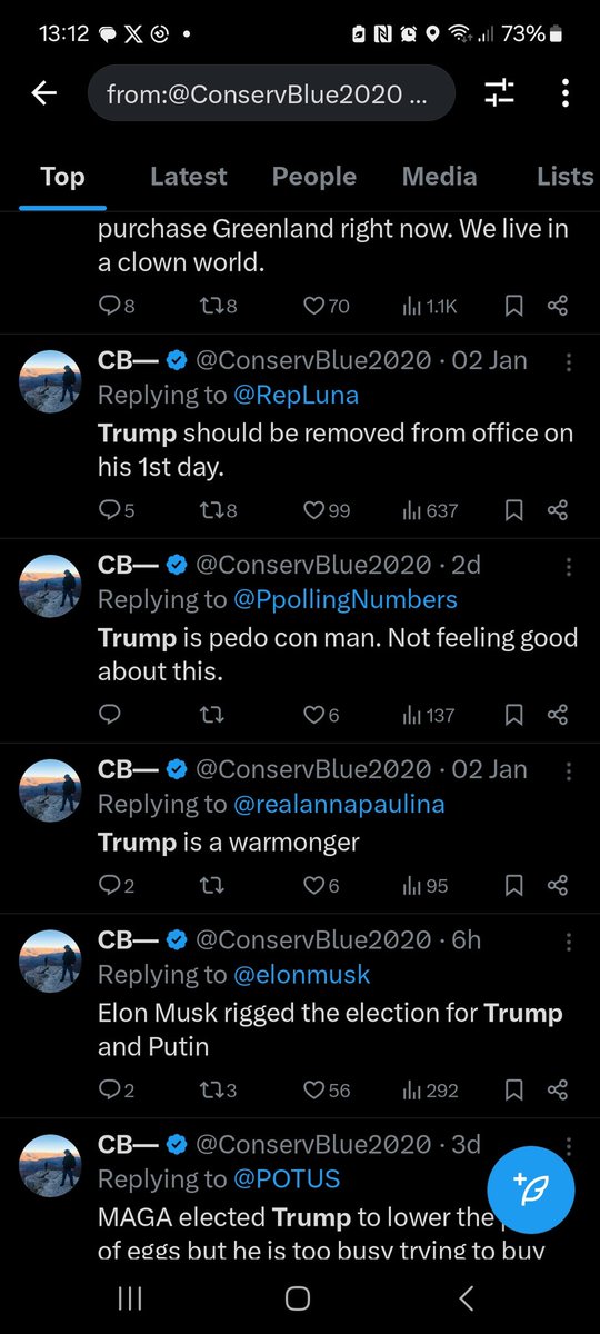 Bou 💫 Anglo Celtic Fox tweet media