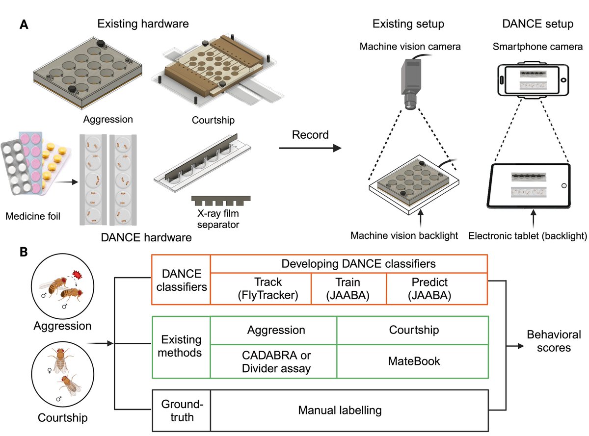 PavanAgrawalLab's tweet photo. 🔬 What is DANCE?
 1️⃣ 6 novel behavioral classifiers for aggression and courtship.
 2️⃣ Hardware made from repurposed blister packs and acrylic sheets.
 3️⃣ Behavior recorded with a smartphone.
 4️⃣ Open-source and easy to use for researchers globally. 🌍

#Neuroscience #AIML https://t.co/6YBco5LLEg