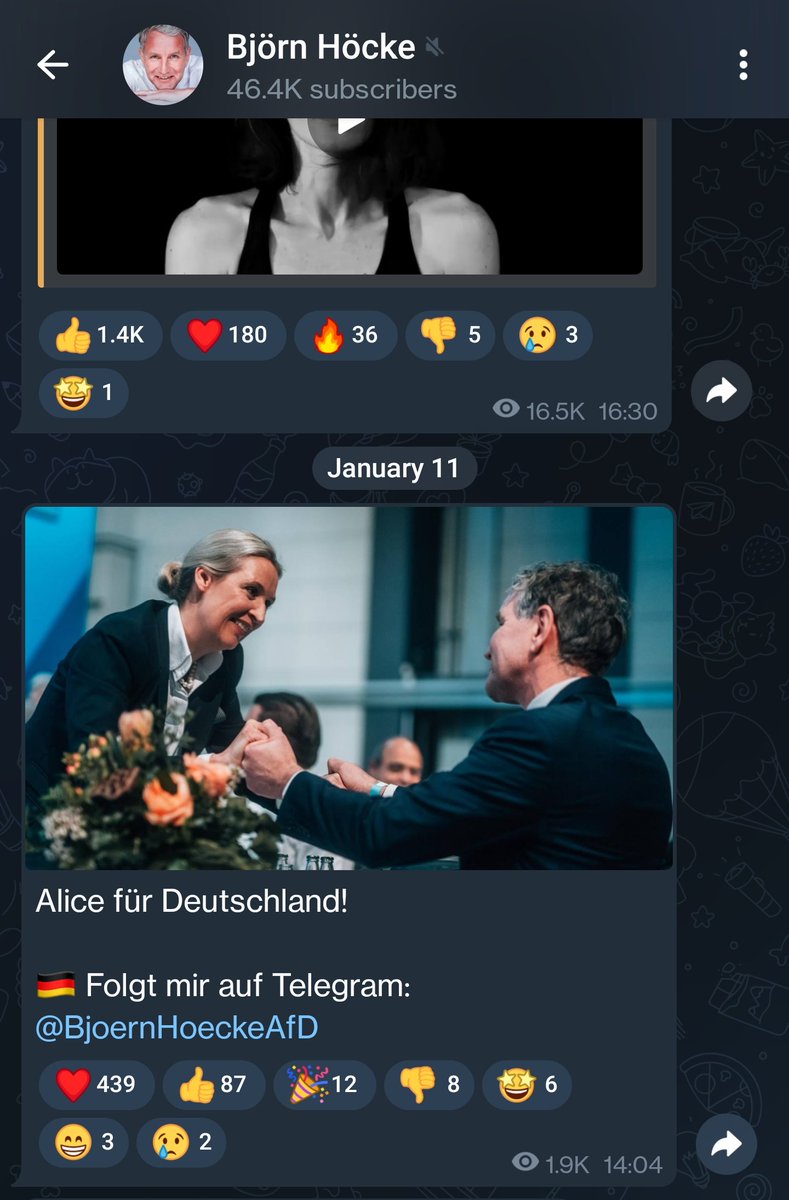 Miriam Gradel tweet media