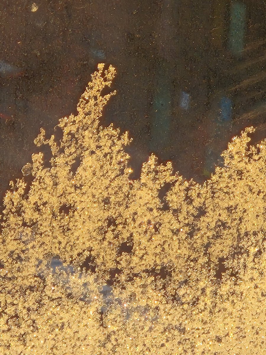 Karen_acts's tweet photo. Ice crystals on window pane. 🤍 #photosbykarenbrace #coldweather #icecrystals #wintermorning #daybreak https://t.co/h9DXeI6jLa