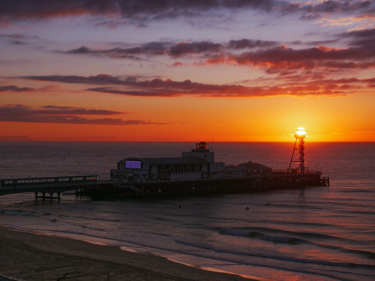 Forest:Archaic Collective tweet media