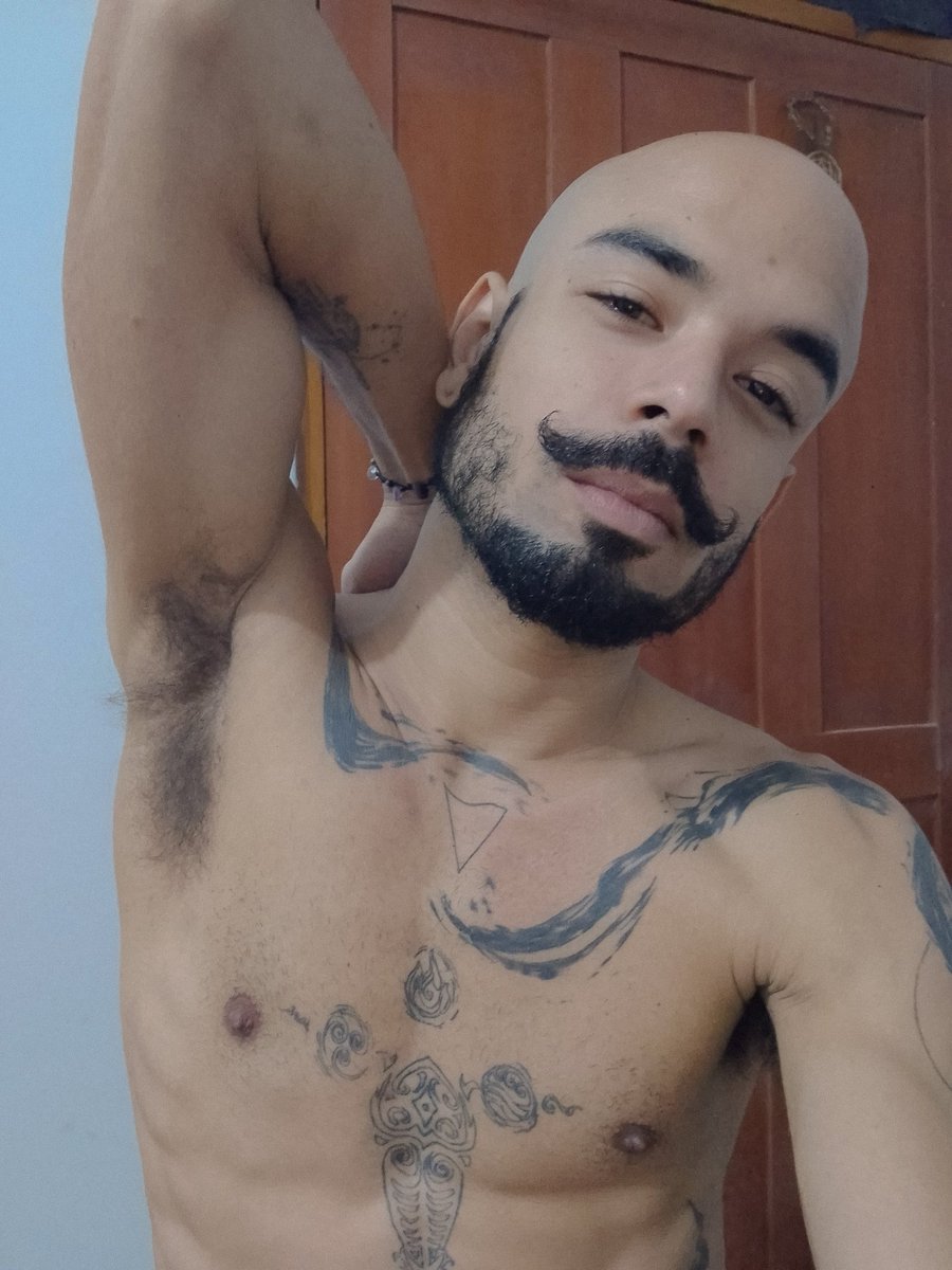 ꫀ᥊hᥴᎧ૨ριus tweet media