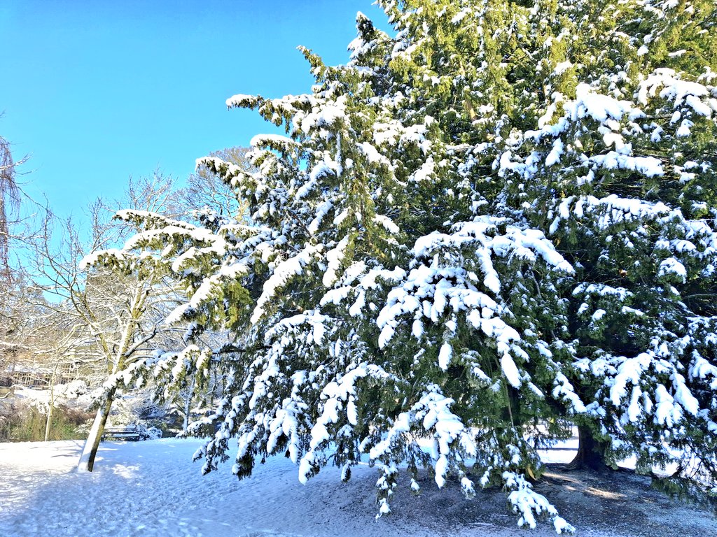 Northern_Travel's tweet image. Some more pictures from my trip to Buxton yesterday. 

Don't think the miniature railway will be working for a bit ❄️

#buxton #peakdistrict #derbyshire