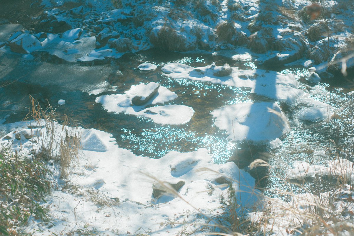 ismsx2's tweet photo. クレイジー雪山散歩 https://t.co/ehd2J3PLES