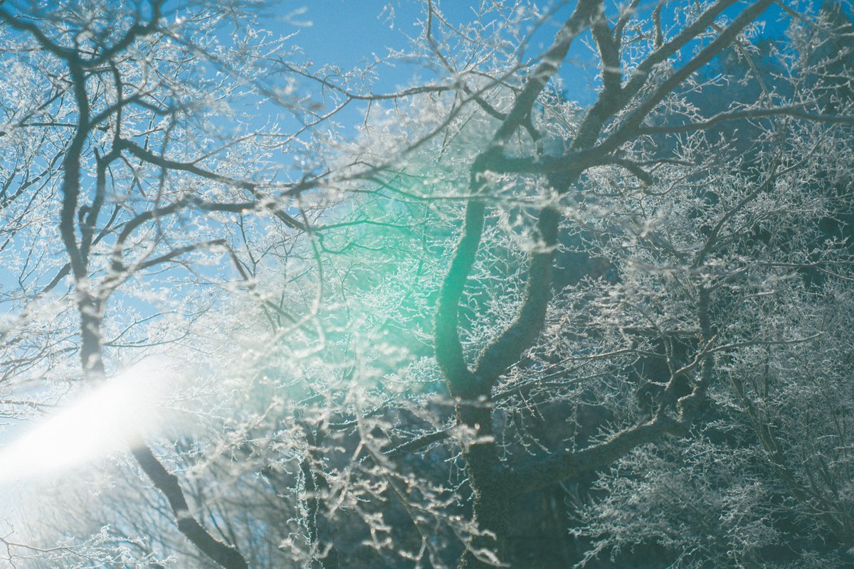 ismsx2's tweet photo. クレイジー雪山散歩 https://t.co/ehd2J3PLES
