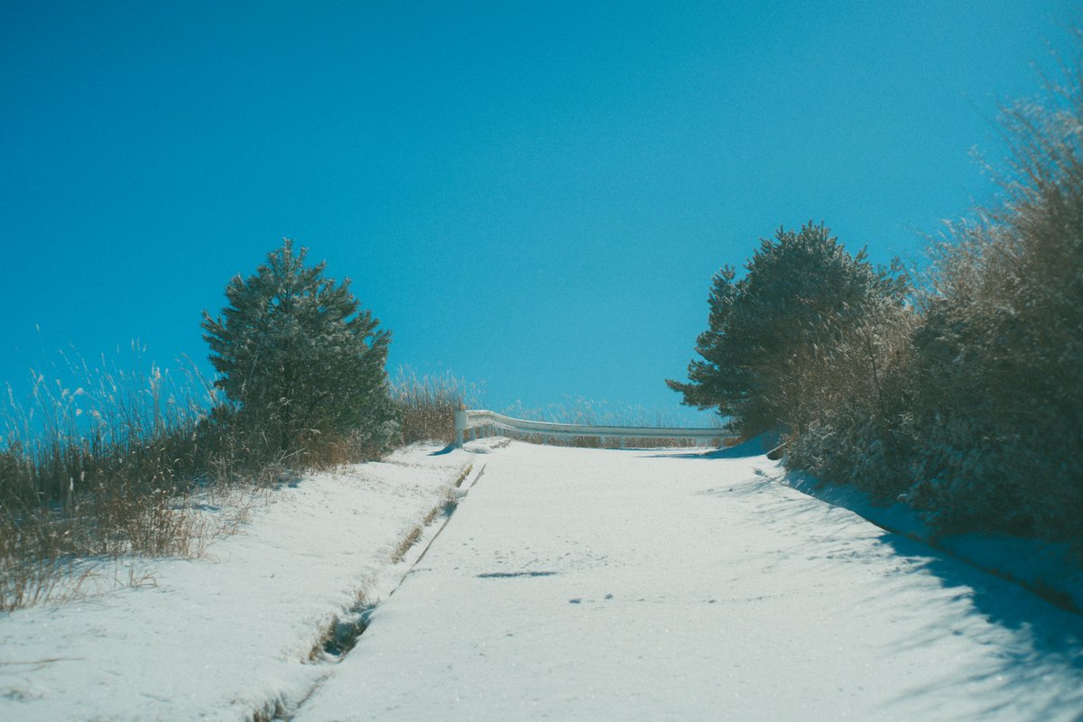 ismsx2's tweet photo. クレイジー雪山散歩 https://t.co/ehd2J3PLES