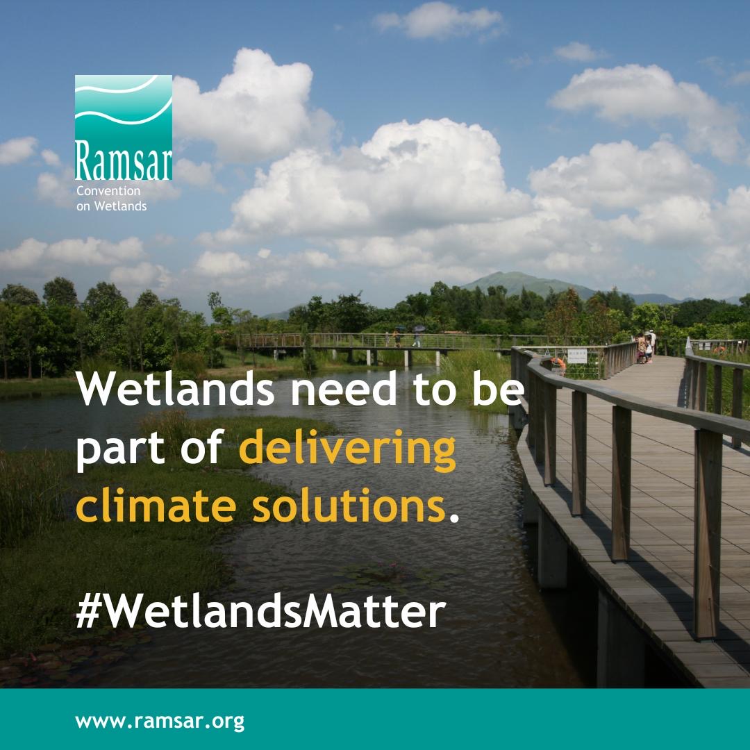 RamsarConv's tweet image. Healthy wetlands are biodiversity hotspots that can greatly contribute to building climate resilience and are efficient in sequestering carbon in its soil. 

Wetlands are nature-based solution constructed and maintained by nature itself!

#ClimateAction #WetlandsMatter