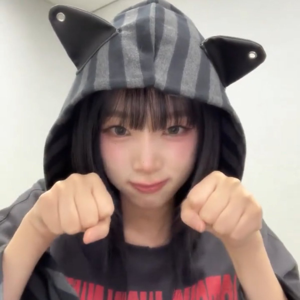 OgE929's tweet photo. #samecat https://t.co/V63HuIG7iR
