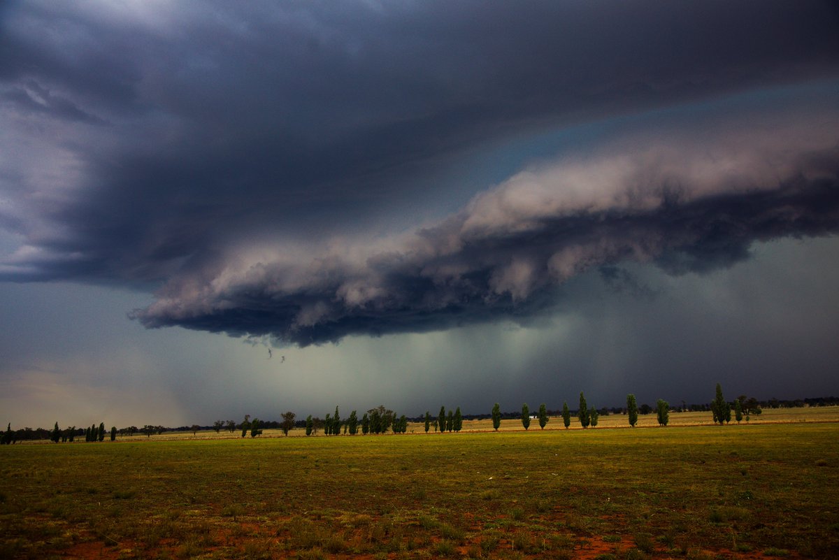 JimmyDeguara's tweet photo. 7th January 2025 hailstorm Forbes to West Wyalong

Not for media use Licensing Available

This storm developed near West Wyalong and tracked north-northeast towards Forbes crossing the Newell Highway damaging vehicles and smashing a few windscreens. https://t.co/Xq8ZGWSAut