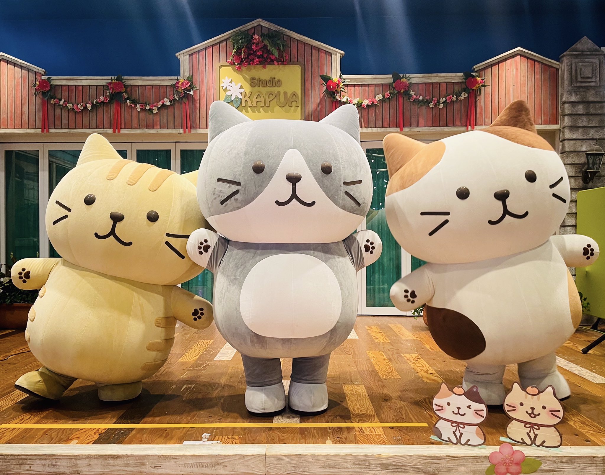 Fuku Fuku Nyanko(ふくふくにゃんこ) on X: 