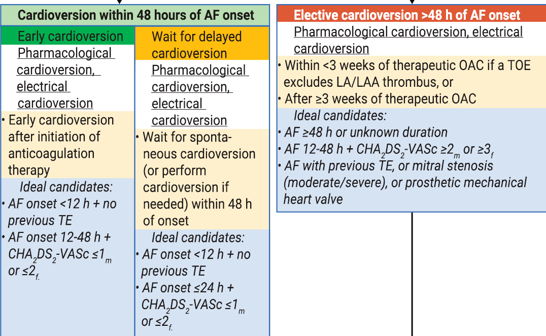 When do you do cardioversion in Atrial fibrillation?

AF <48hrs  Vs > 48hrs = 

ESC guidelines 2024

#medtwitter #cardiotwitter