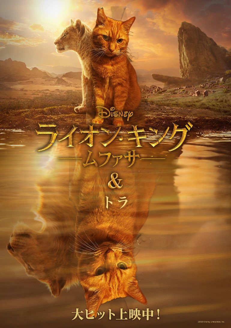 #ムファ写キャンペーン
見ます‼️