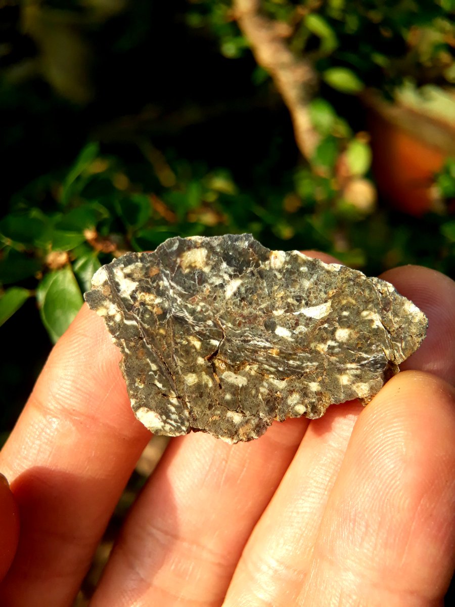 Lunar meteorite for sale
Pair with Laayoune 002
Weight: 124.5g
Total price: 1245 USD
WhatsApp +84916855492
#lunarmeteoriteforsale
#lunar
#lunarmeteorite
#meteorite