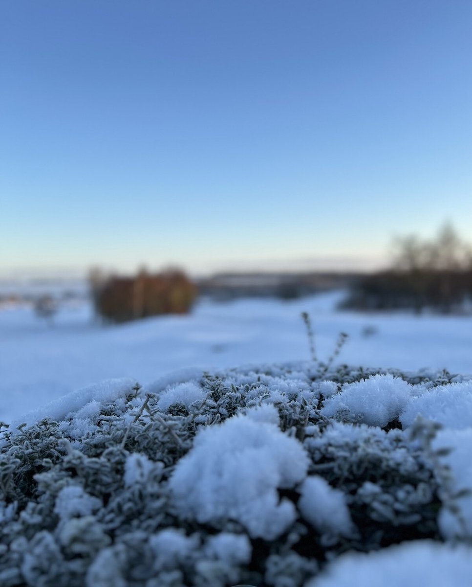 Cookridge Hall GC tweet media