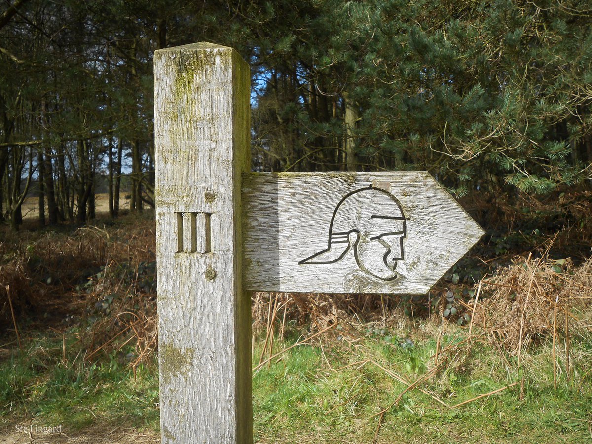 Romans to the right of us, at Cawthorn Roman Camps, #NorthYorkshire. #FingerpostFriday
📷 My own.