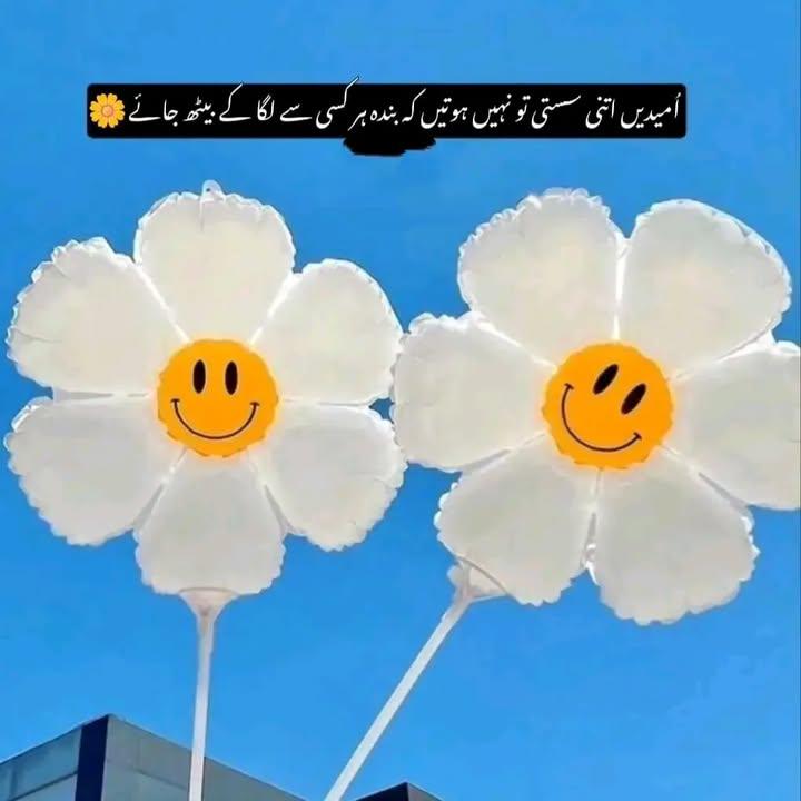 اُمیدیں اتنی سستی تو نہیں ہوتیں کہ بندہ ہر کسی سے لگا کے بیٹھ جائے🖤🙂🥀

__اقبالッ ×°•🖤🎗✨
Good Afternoon