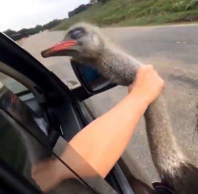 ❤️S.M.H🔥 (@ayomightt) on Twitter photo 