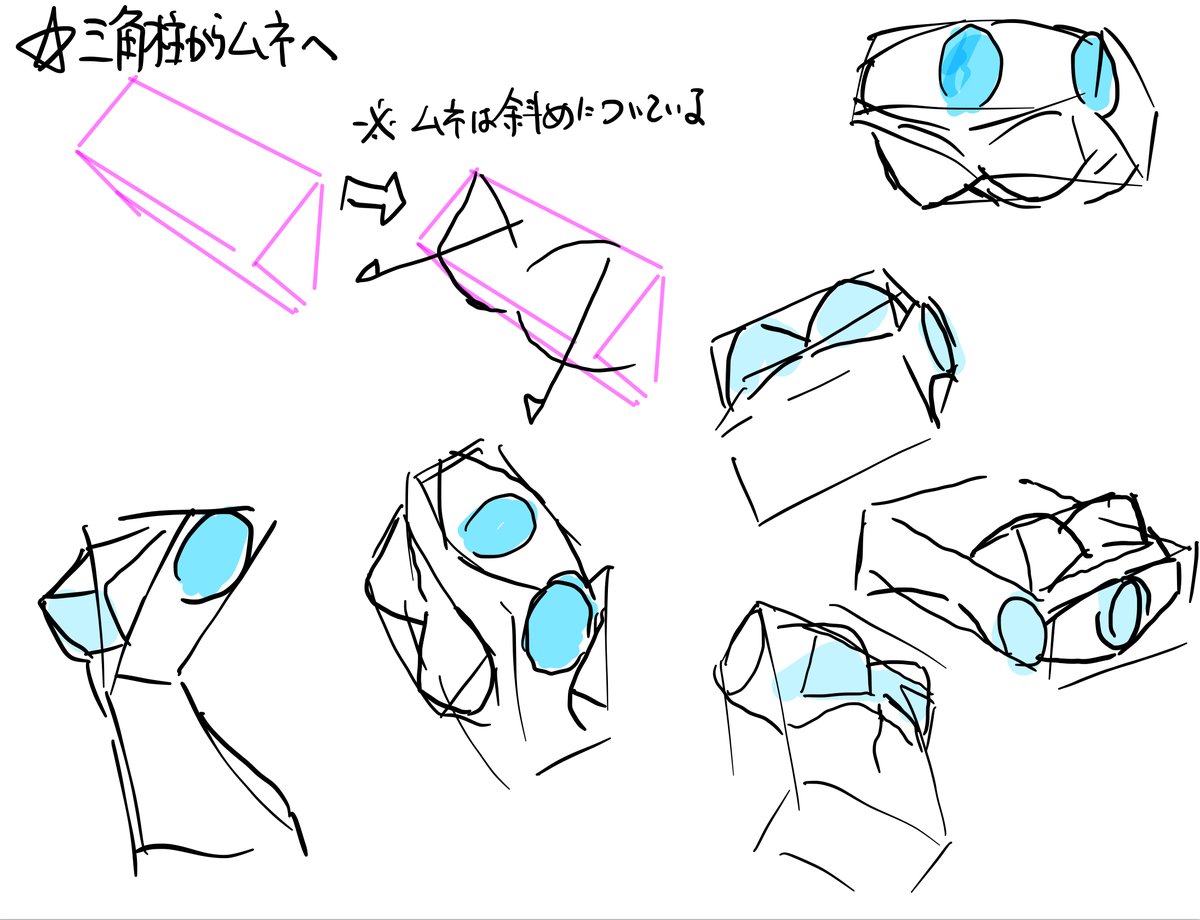 ムネ、胴体の描き方まとめ 