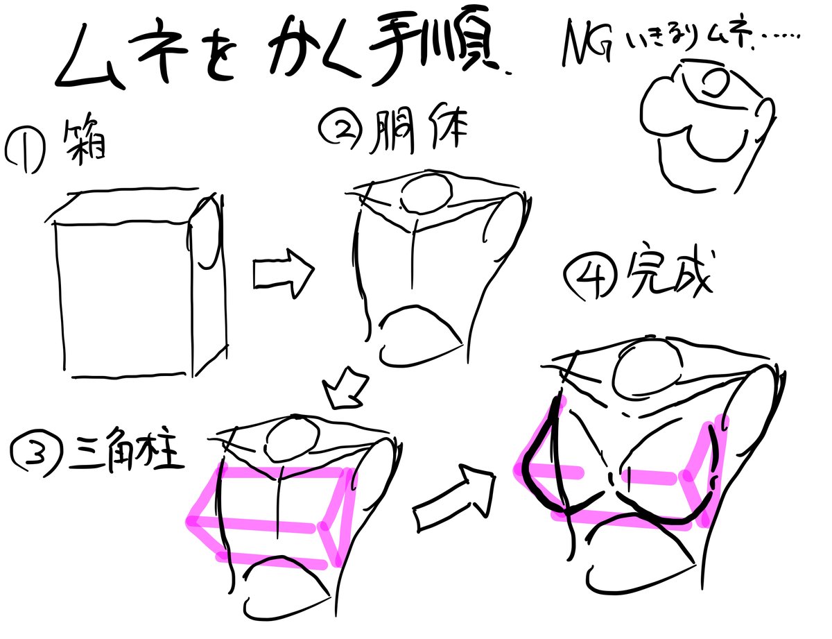 ムネ、胴体の描き方まとめ 