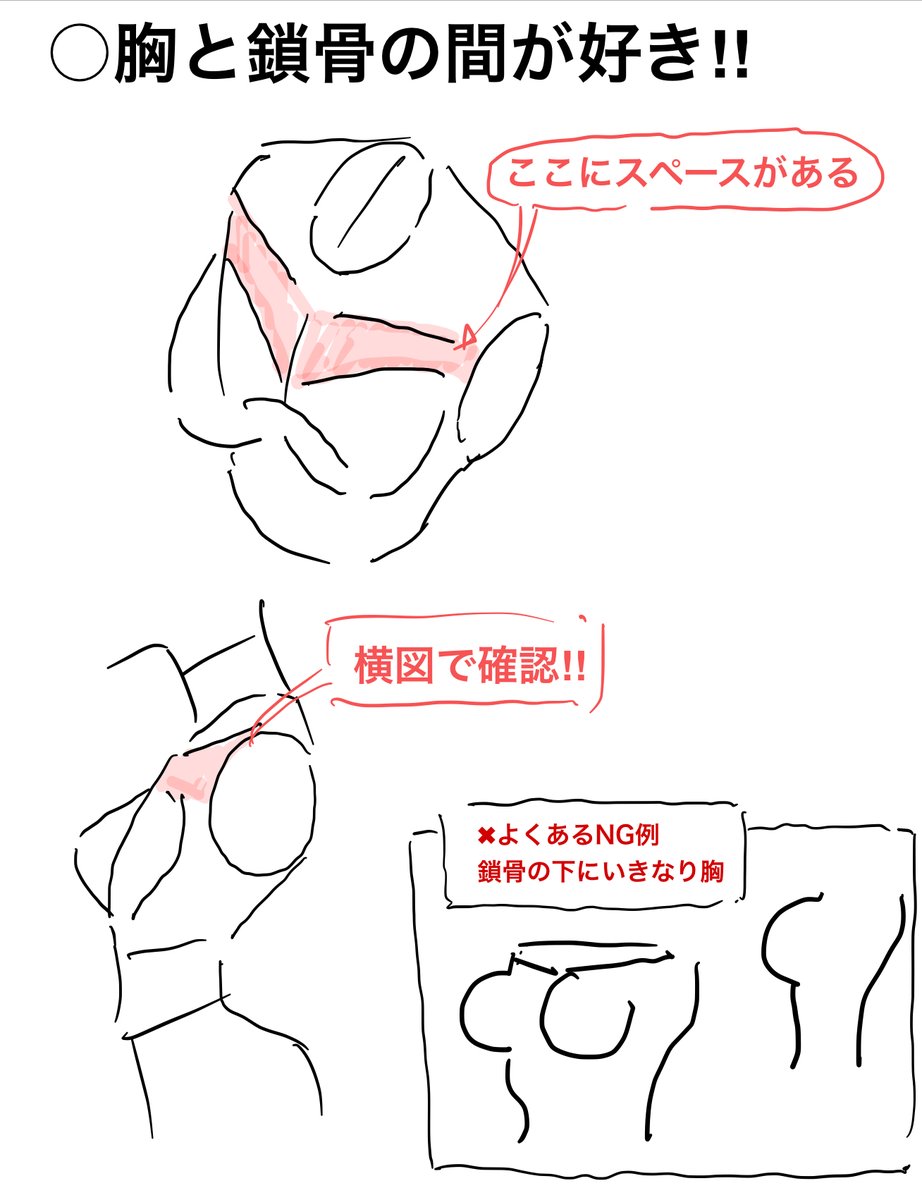 ムネ、胴体の描き方まとめ 