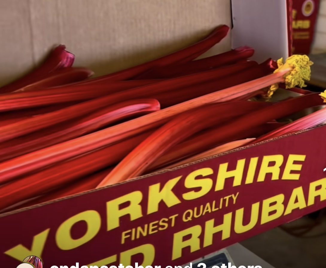 We now have new season Yorkshire rhubarb in stock. ⁦<a href="/ThePigGuide/">ThePrandialPlayground</a>⁩