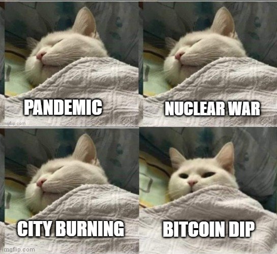 HTX_Global's tweet photo. Interact if you can relate to this... https://t.co/mCBdZ9JAak